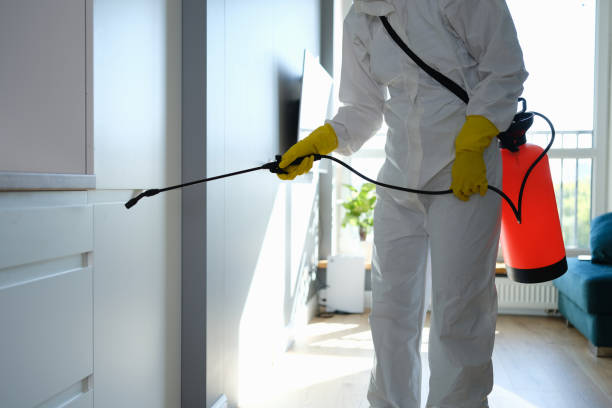 Best Professional Mold Removal  in Rensselaer, IN