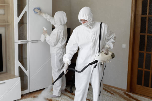 Professional Mold Removal in Rensselaer, IN